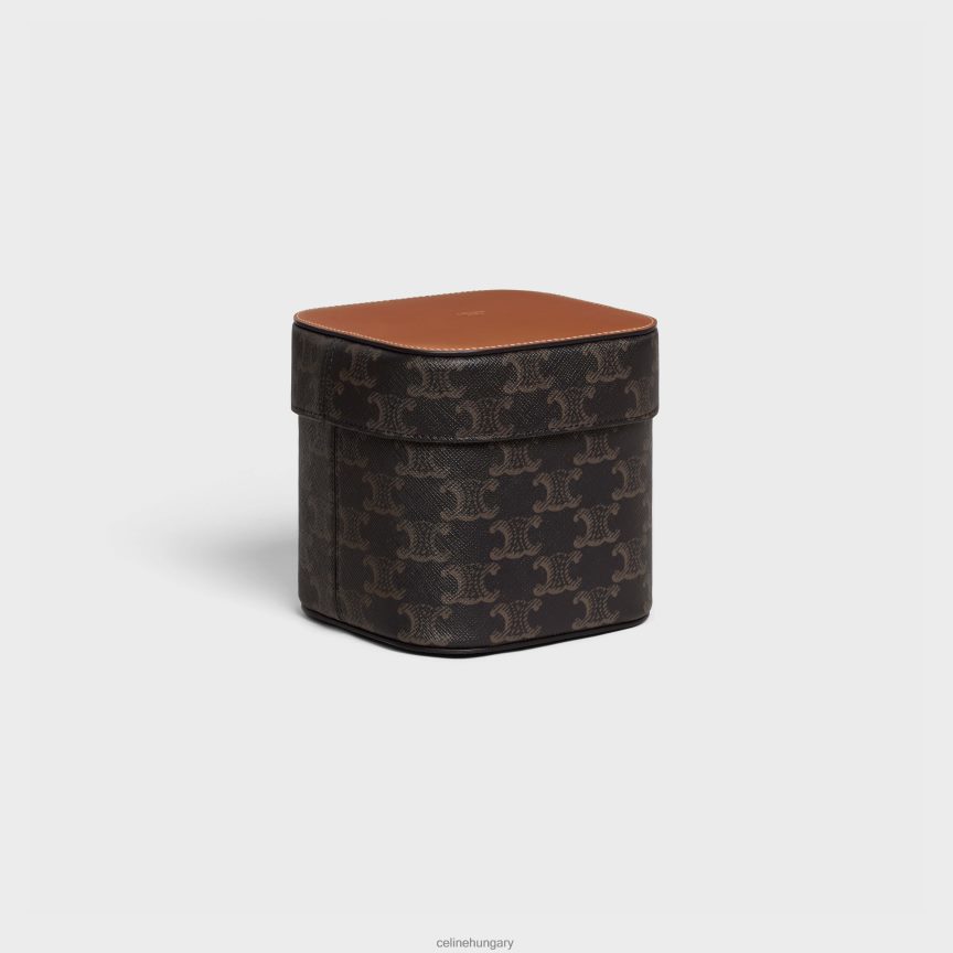 kiegészítők CELINE közepes doboz triumph vászonból és borjúbőrből Cser férfiak J6P4881537