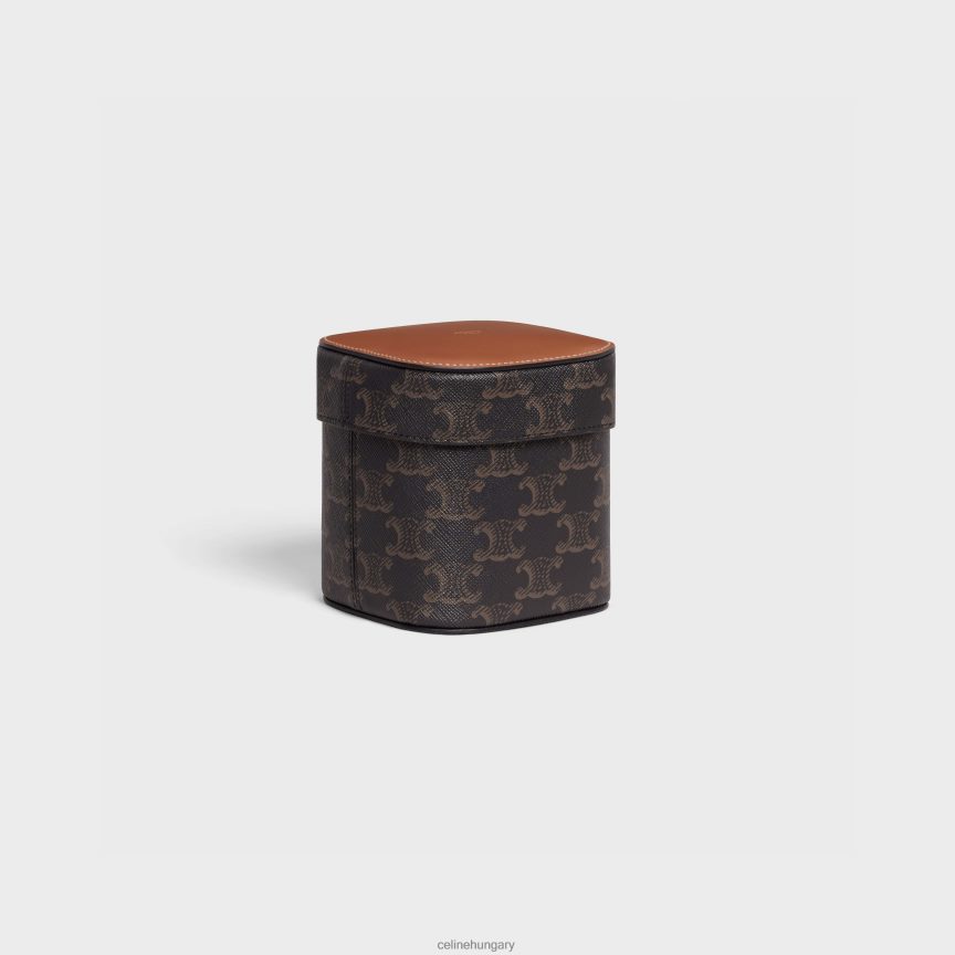 kiegészítők CELINE kis doboz triumph vászonból és borjúbőrből Cser férfiak J6P4881538