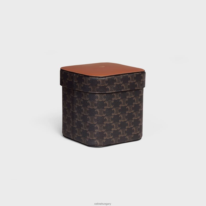kiegészítők CELINE nagy doboz triumph vászonból és borjúbőrből Cser férfiak J6P4881536