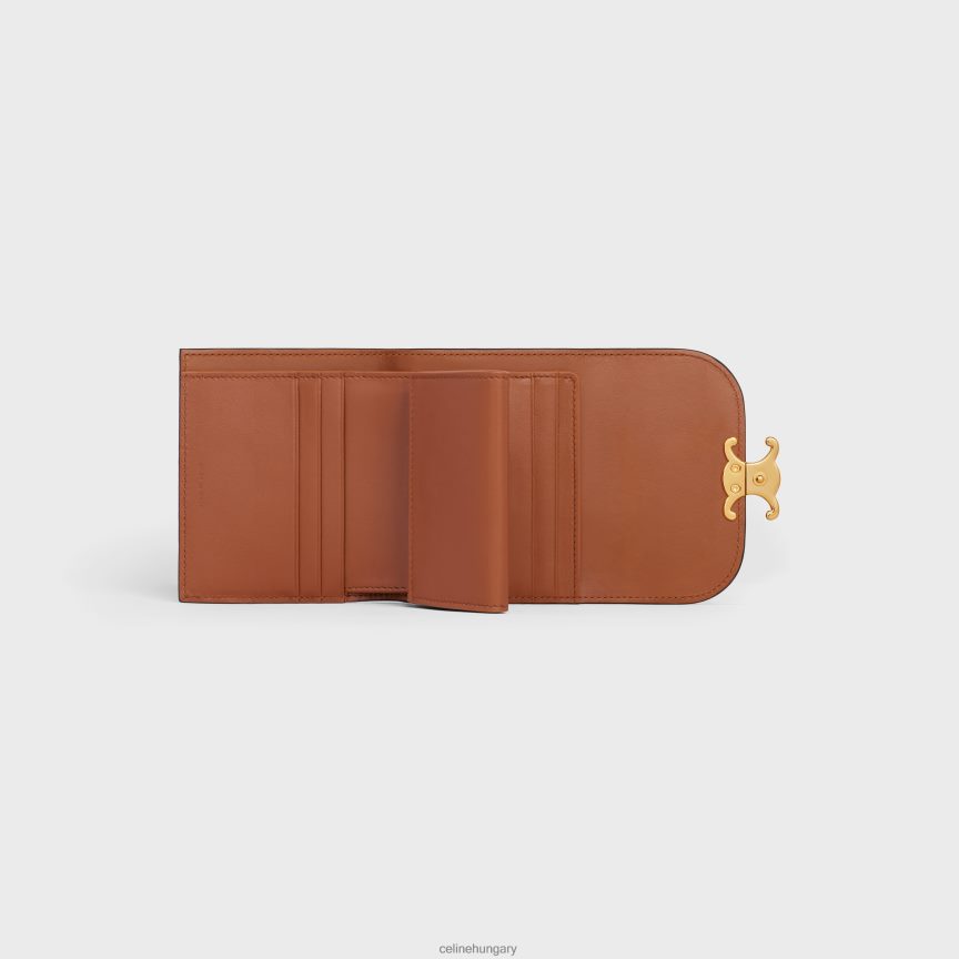 kiegészítők CELINE kis pénztárca triumfál fényes sima báránybőrből Cser nők J6P488455