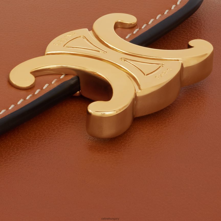 kiegészítők CELINE kis pénztárca triumfál fényes sima báránybőrből Cser nők J6P488455