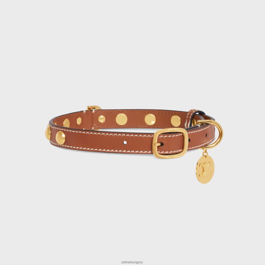 kiegészítők CELINE közepes vékony nyakörv sima borjúbőrből, szegecsekkel Cser férfiak J6P4881759