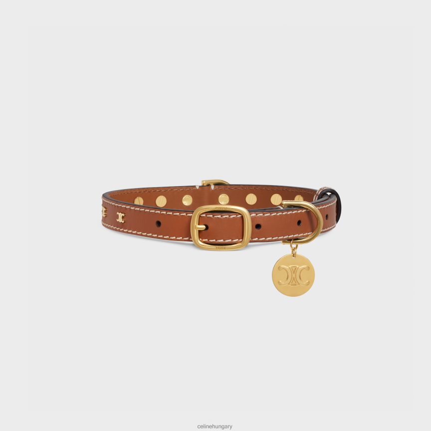 kiegészítők CELINE közepesen vékony kutyanyakörv sima borjúbőrből, triumph szegecsekkel Cser férfiak J6P4881726
