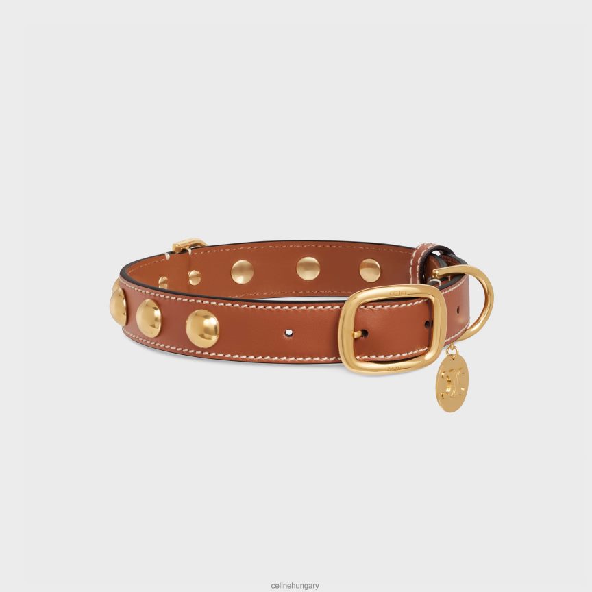 kiegészítők CELINE széles, közepes kutyanyakörv sima borjúbőrből, szegecsekkel Cser férfiak J6P4881760